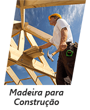 Madeira para Construção